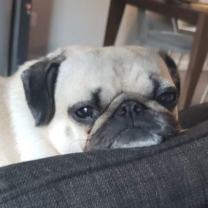 Meet your Posher, Kathlene